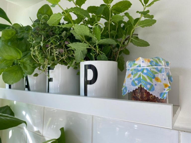 Make your own re-useable soy wax food covers